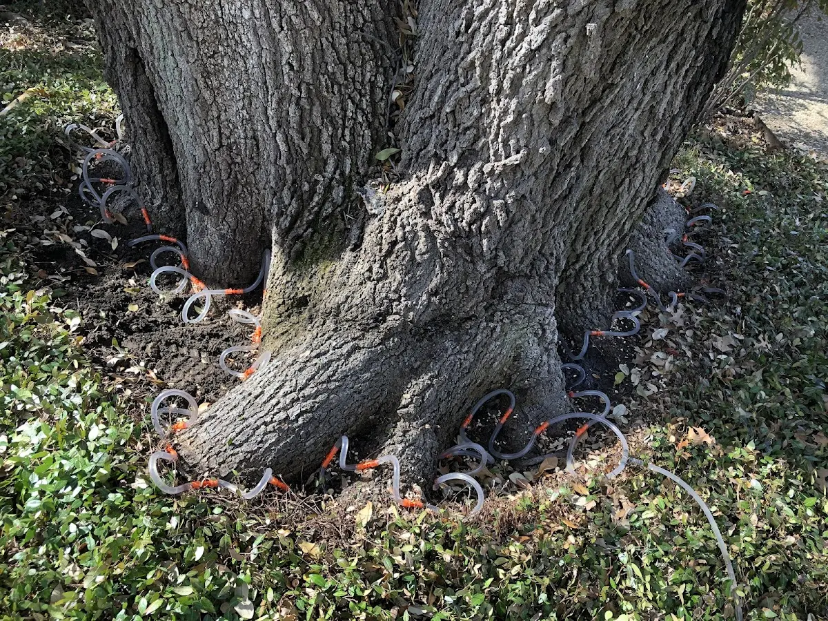 Detailed Shrub and Hedge Trimming job site in Art